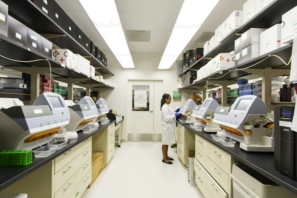 RNA-Seq Differential Gene Expression Analysis